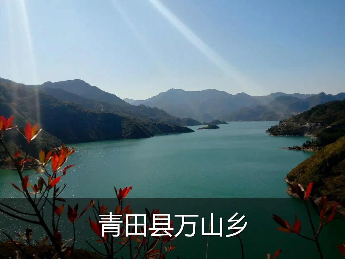 青田县万山乡