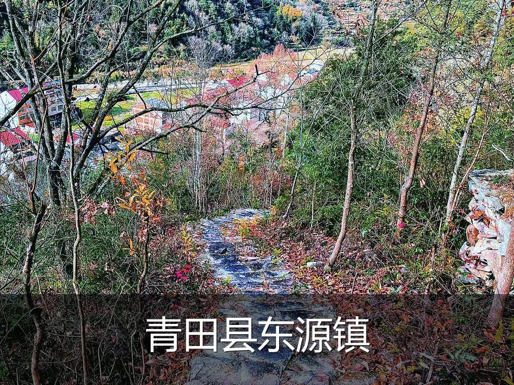 青田县东源镇