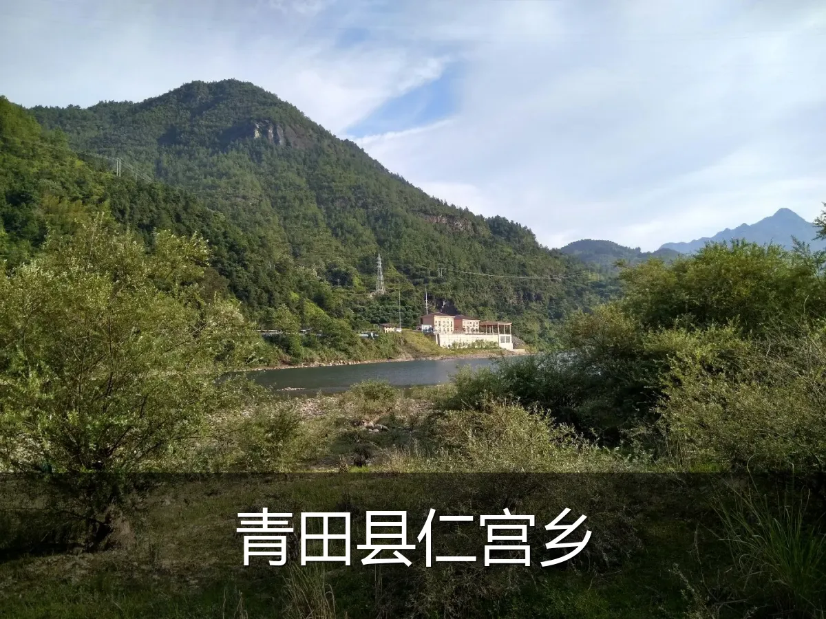 青田县仁宫乡