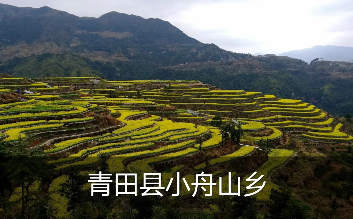 青田县小舟山乡