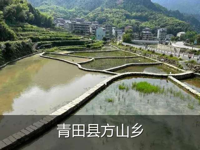 青田县方山乡