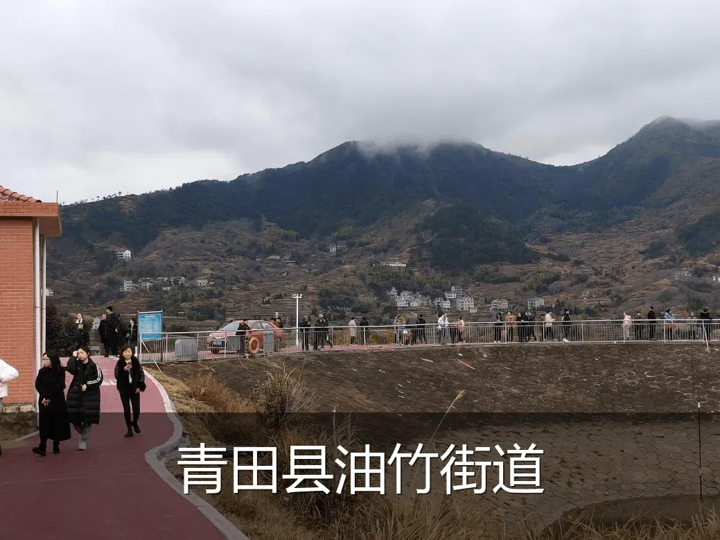青田县油竹街道
