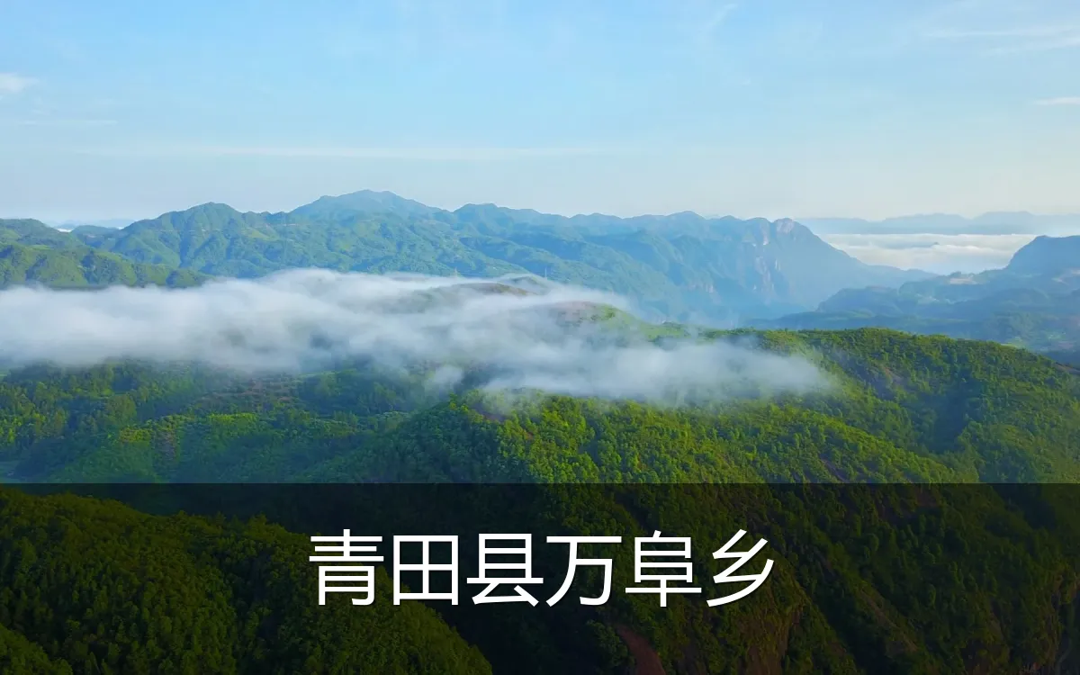 青田县万阜乡